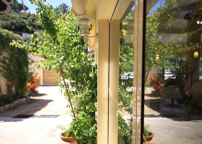 Sampiero プロプリアノ